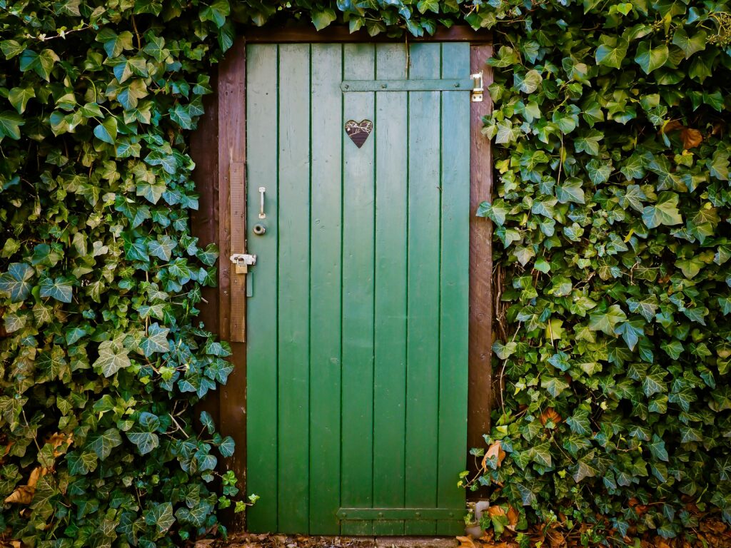 Therapist in Blaine MN . A vibrant green wooden door surrounded by lush ivy, creating a natural and rustic entrance.