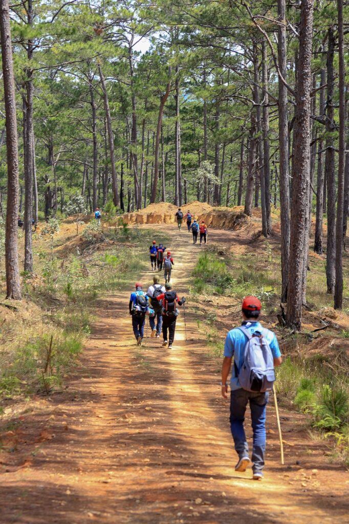 team, trek, nature, adventure, travel, walking, hiking, forest, trip, journey