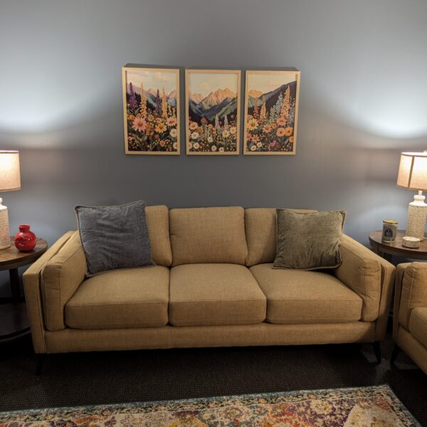 Therapy couch at Kindred Counseling in Blaine MN. Contact Me