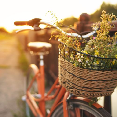 Beautiful bicycle with flowers in a basket stands on an avenue in a park at sunset