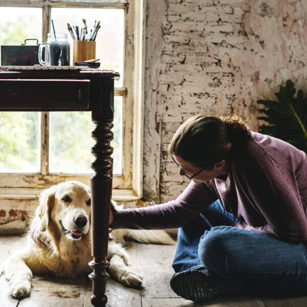 Divorce Recovery Near Me