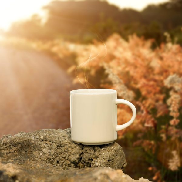 morning-coffee-on-the-rock-2026-03-26-22-54-06-utc