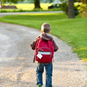 A young boy with a red backpack walking on a gravel path in a sunny park setting.