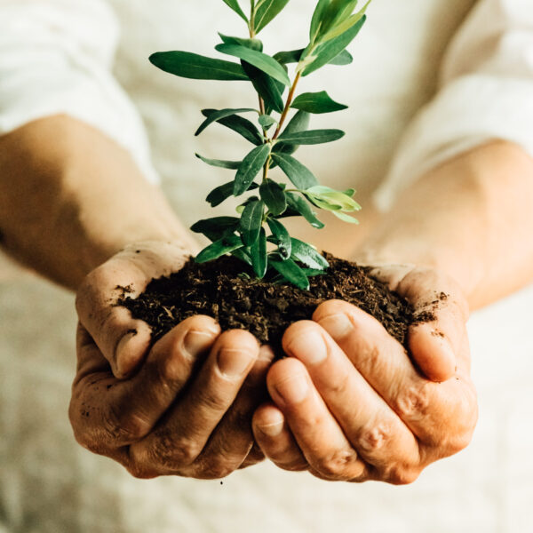 Therapist in Blaine MN . Woman holding plant